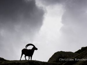 4129 Aiguilles Rouges