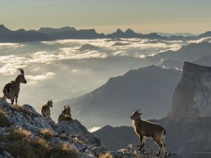 5880 Vercors