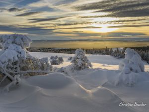 6041 Mont Lozère du Grand Tanargue