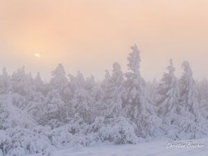 6294 Le soleil se couche derrière le Taupernas.