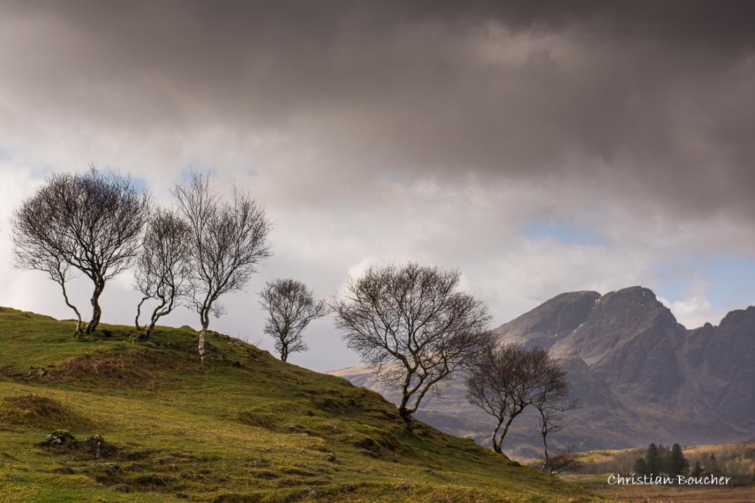 6335 - Arbres isolés, Skye