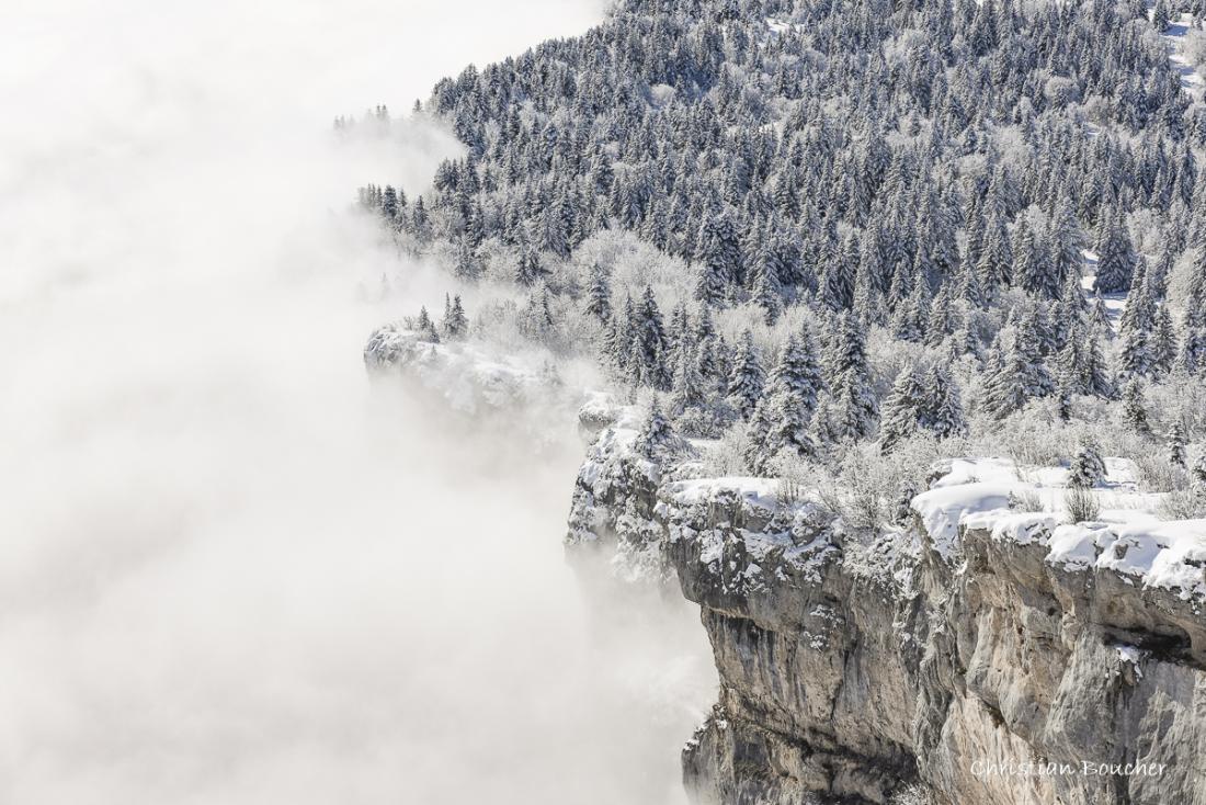 8586 - De neige et brouillard