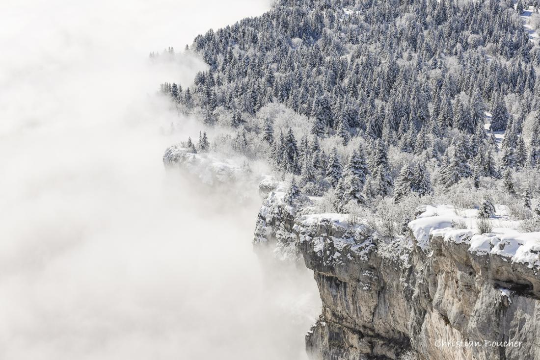 8586 - De neige et brouillard