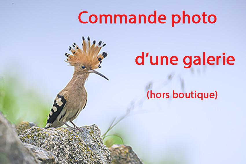 Commande photo hors boutique