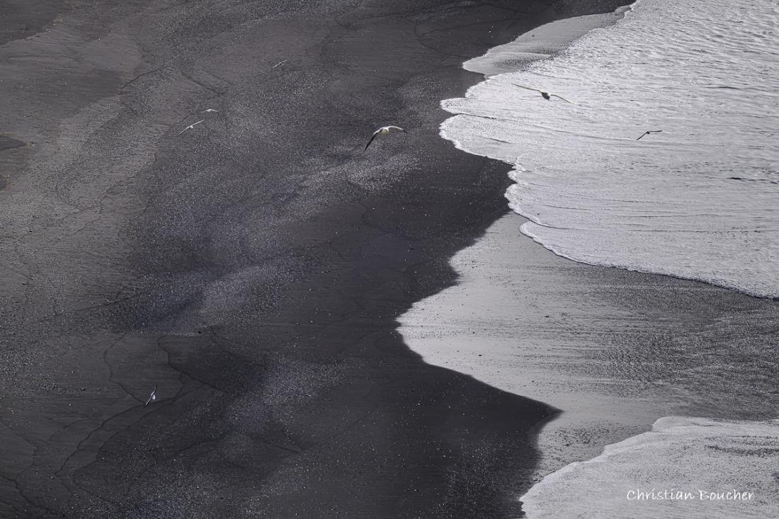 4565 - Plage de Reynisfjara