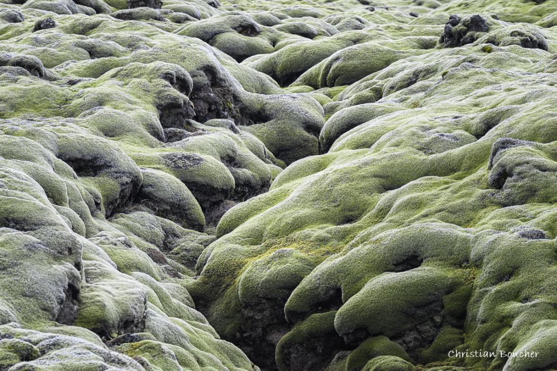 4790 - Champ de lave d'Eldhraun