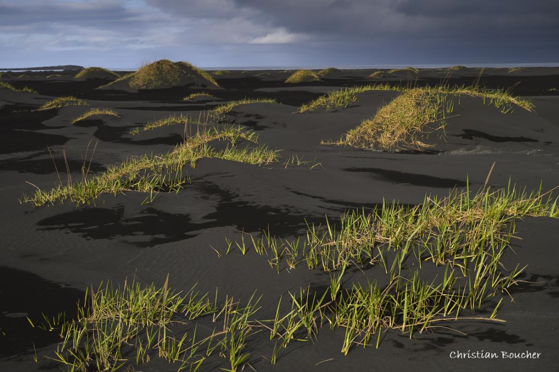 6260 - La plage de Stokksnes
