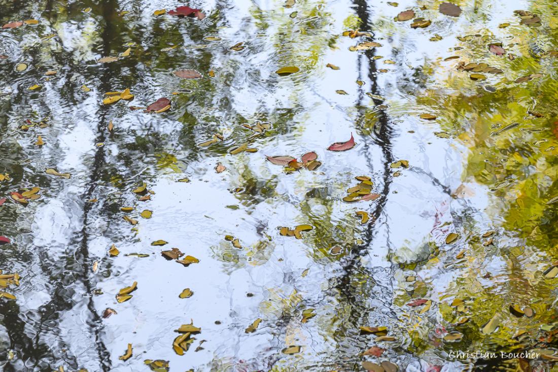 9705 - Rivière Labeaume, l'automne