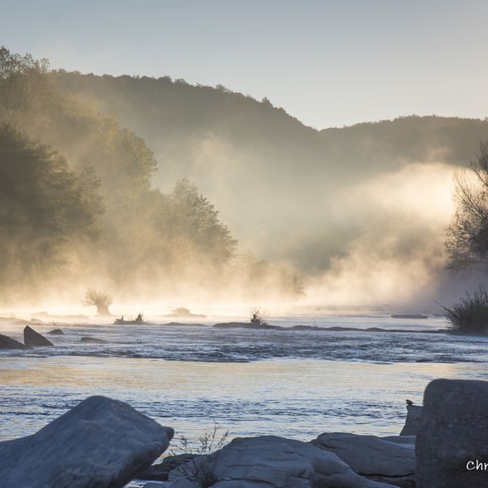 6030 Le cincle plongeur