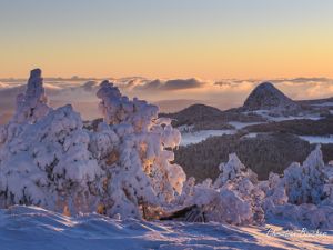6347 Mont Gerbier des Joncs